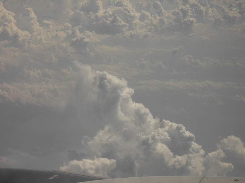 PICT0966